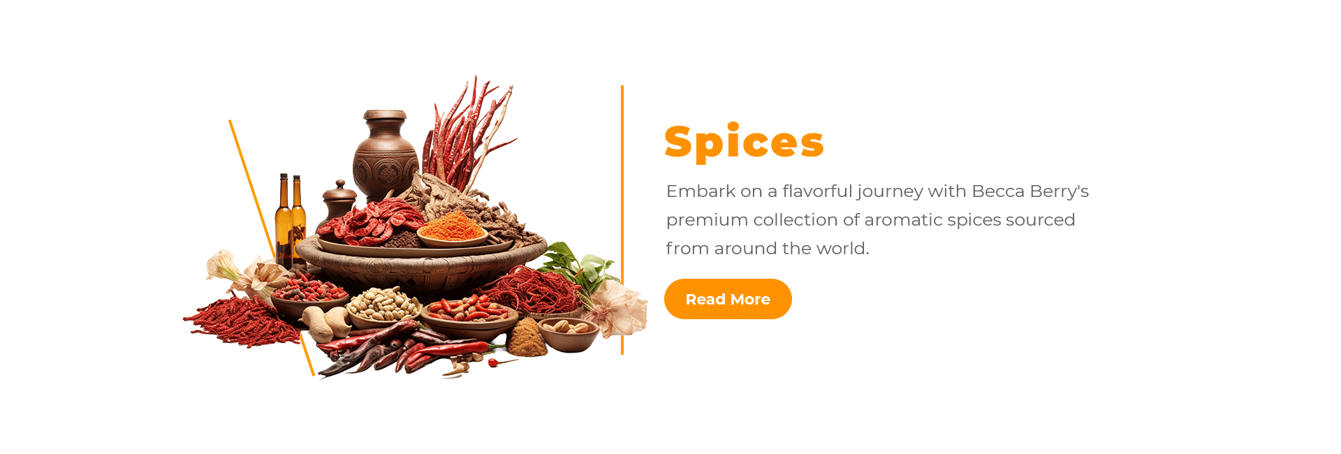 Slide-Spices